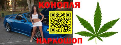 СК Обь