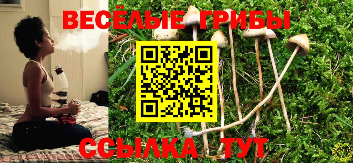 Славянск-на-Кубани  Галлюциногенные грибы Psilocybine cubensis  Псилоцибиновые грибы Magic Shrooms  Вход с VPN 